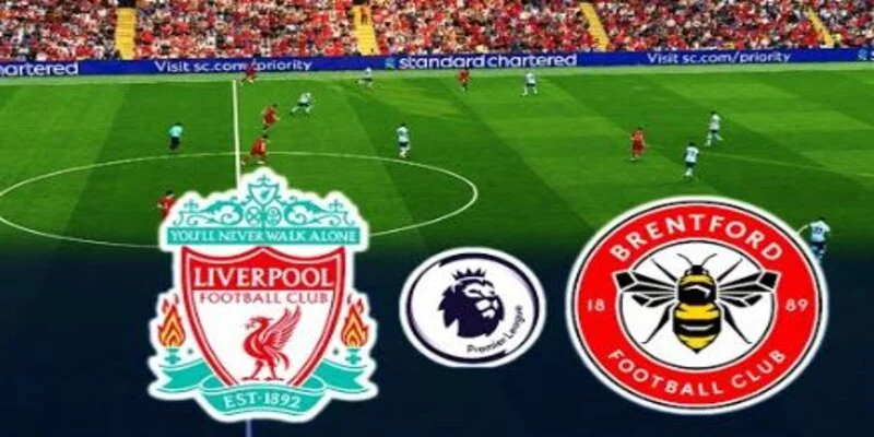 Soi Kèo Brentford vs Liverpool 18/01/2025 - Chi Tiết 4 Dự đoán Liverpool sẽ thắng chung cuộc và giành trọn 3 điểm